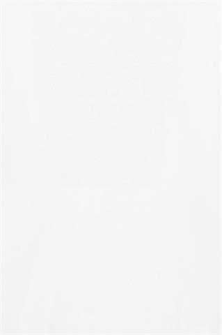 DL0001.POLO.Basic.Białe.73872_L - 139141