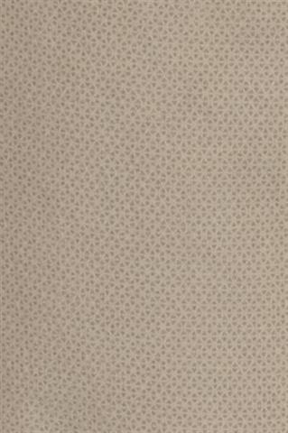 Beżowe bawełniane spodnie męskie 64218 - 388881