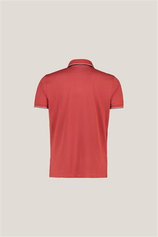 Bordowe polo męskie 74112 - 459491
