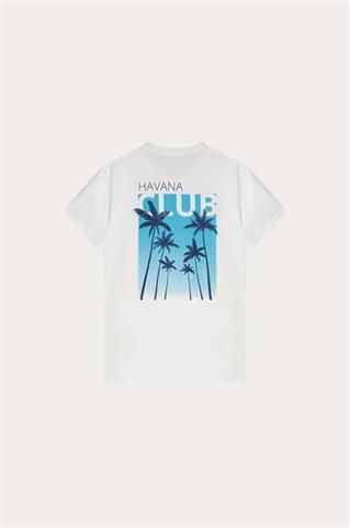 Biały bawełniany t-shirt męski 78051 - 557871