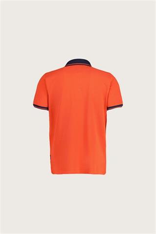 Pomarańczowa bawełniana koszulka polo męska 74128 - 632091