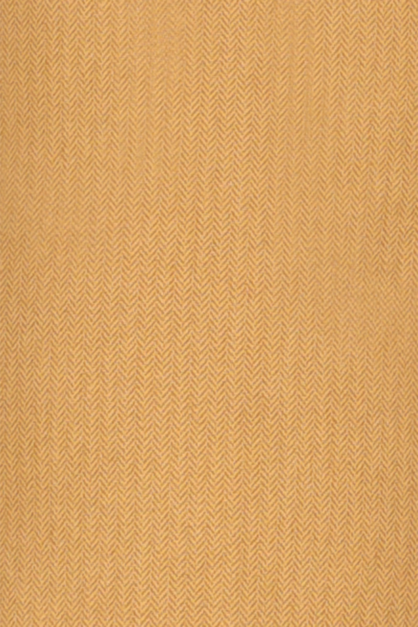 21560896978_(T)