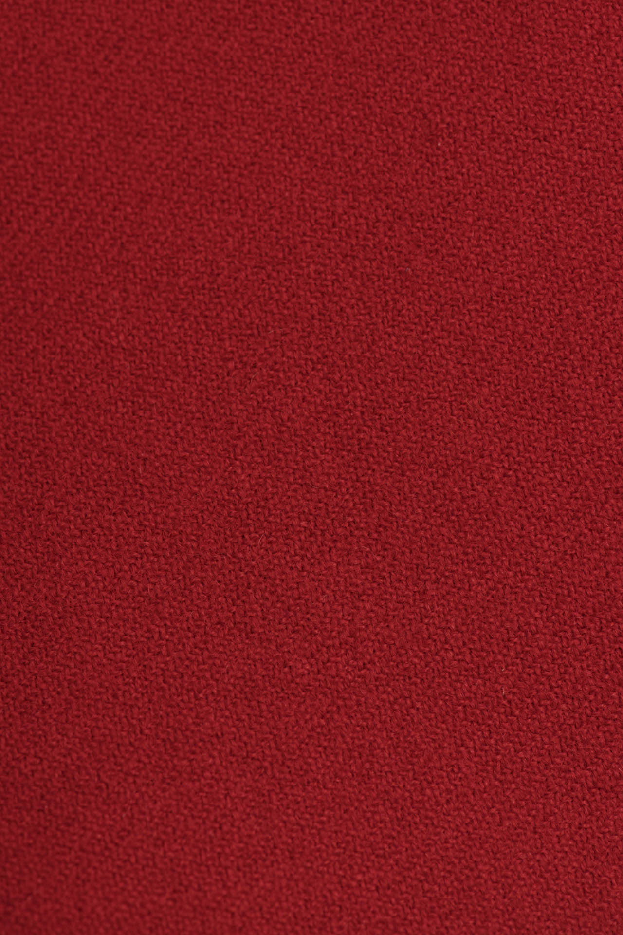 24284710557_(T)