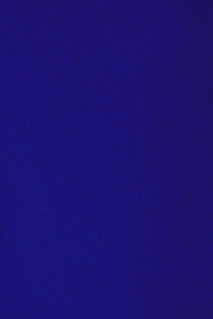 25688060558_(T)