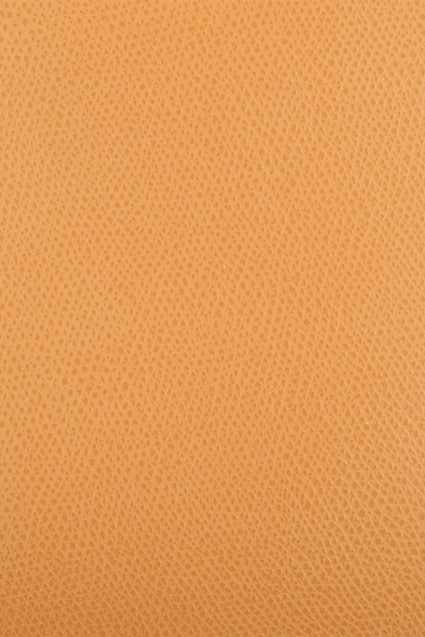 26785729_(T)