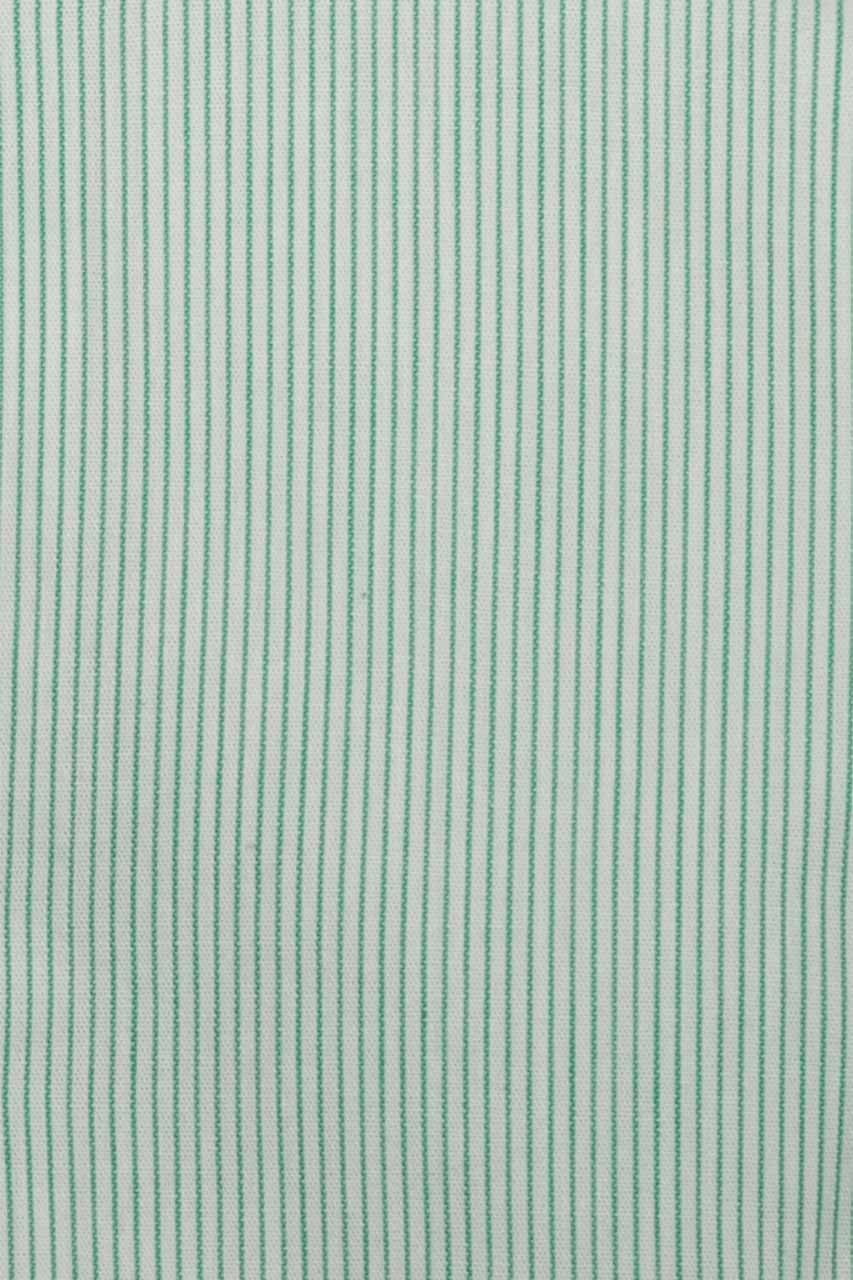 20391020169 (T)