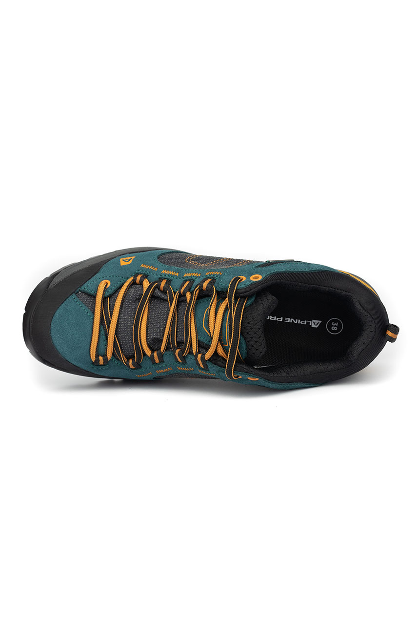 Alpine Pro_0004s_0003_TIMA