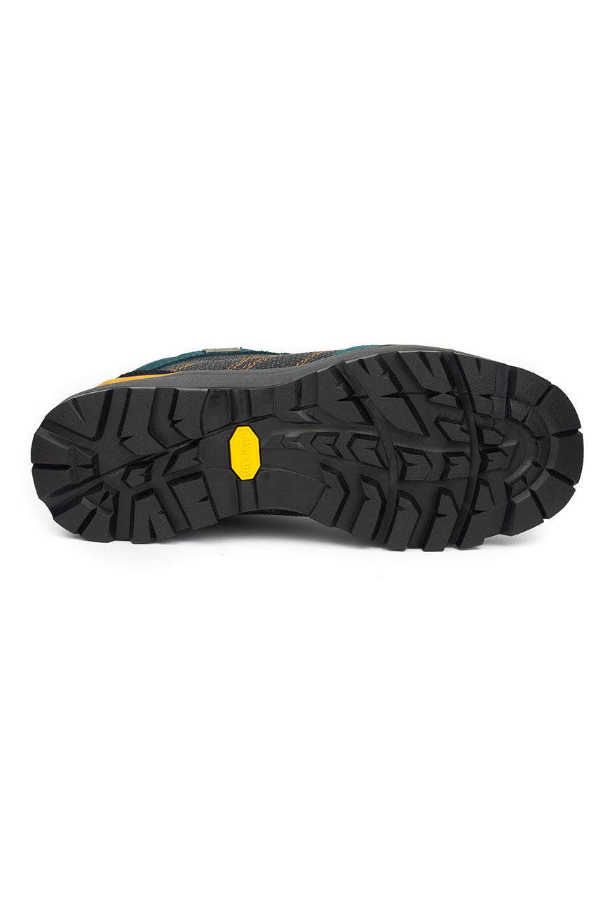 Alpine Pro_0004s_0002_TIMA