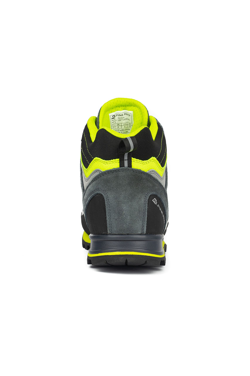 Alpine Pro_0000s_0006_Karem Neon