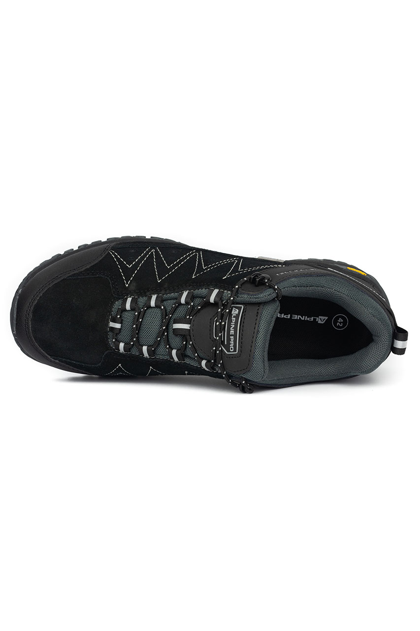 Alpine Pro_0003s_0004_ROMER