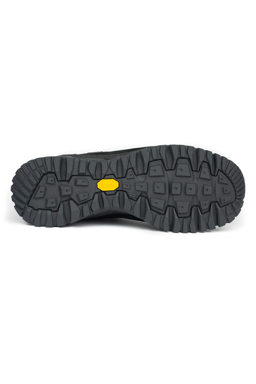 Alpine Pro_0003s_0003_ROMER
