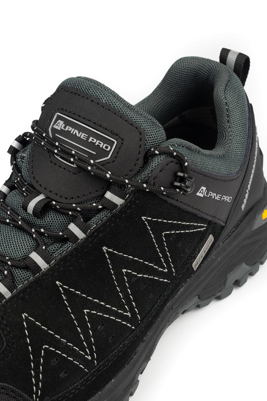 Alpine Pro_0003s_0006_ROMER