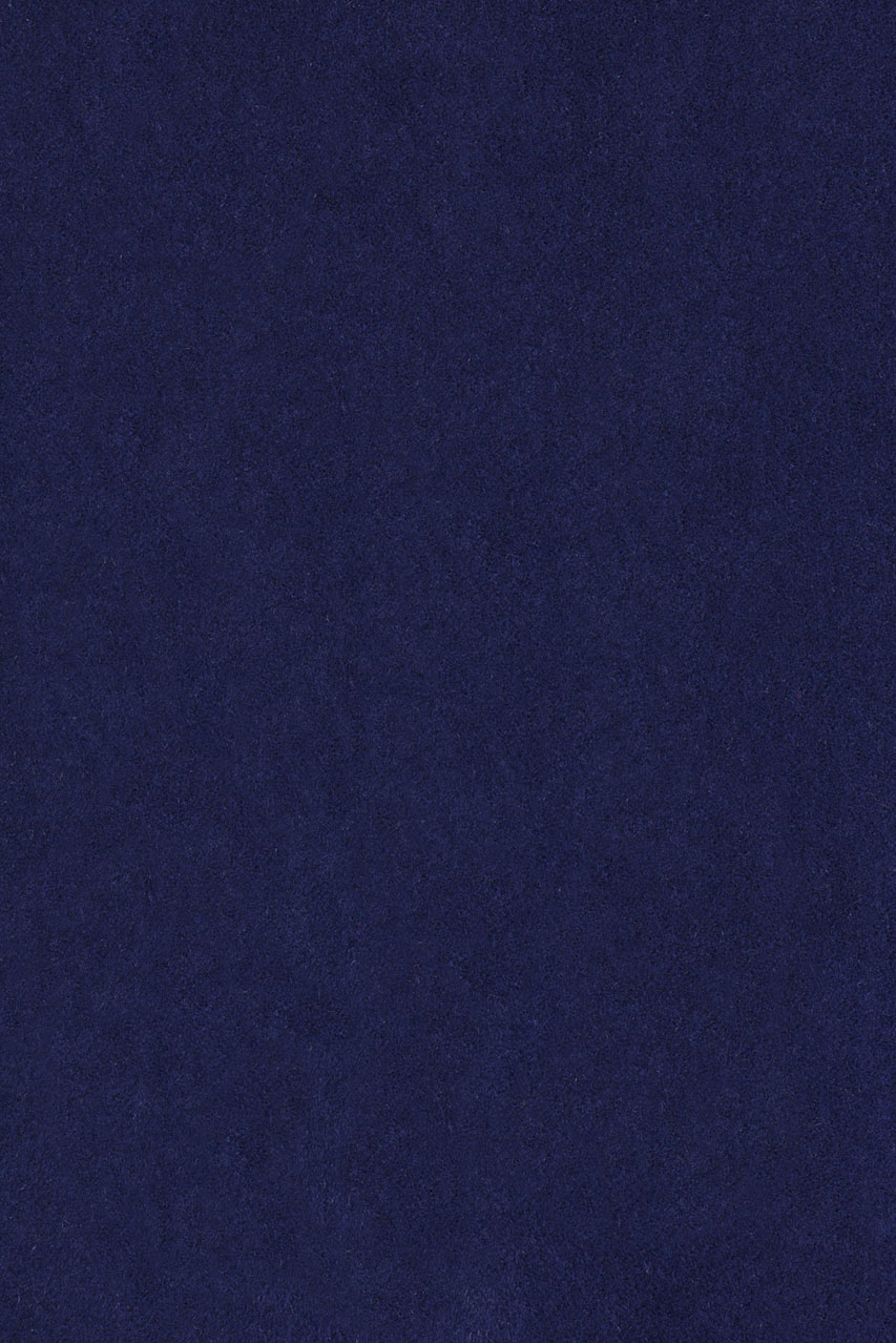 21072931_(T)
