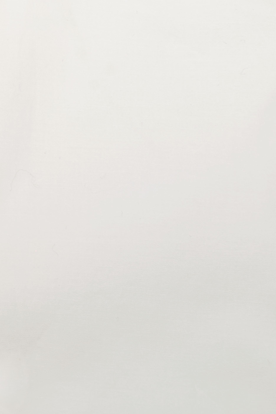 20392309169 (T)