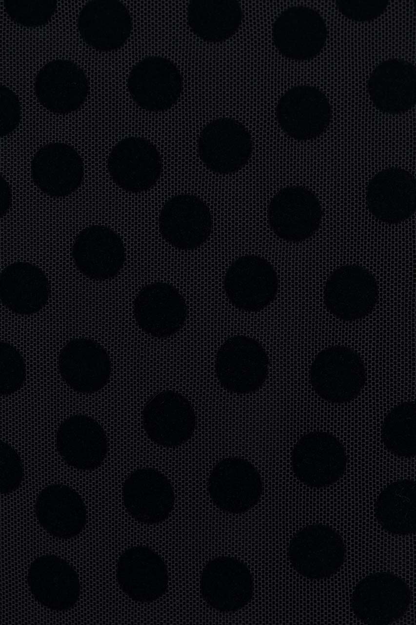 25984124557_(T)