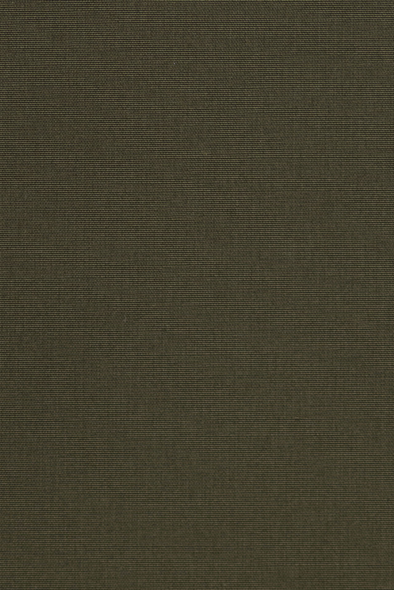24284174_(T)
