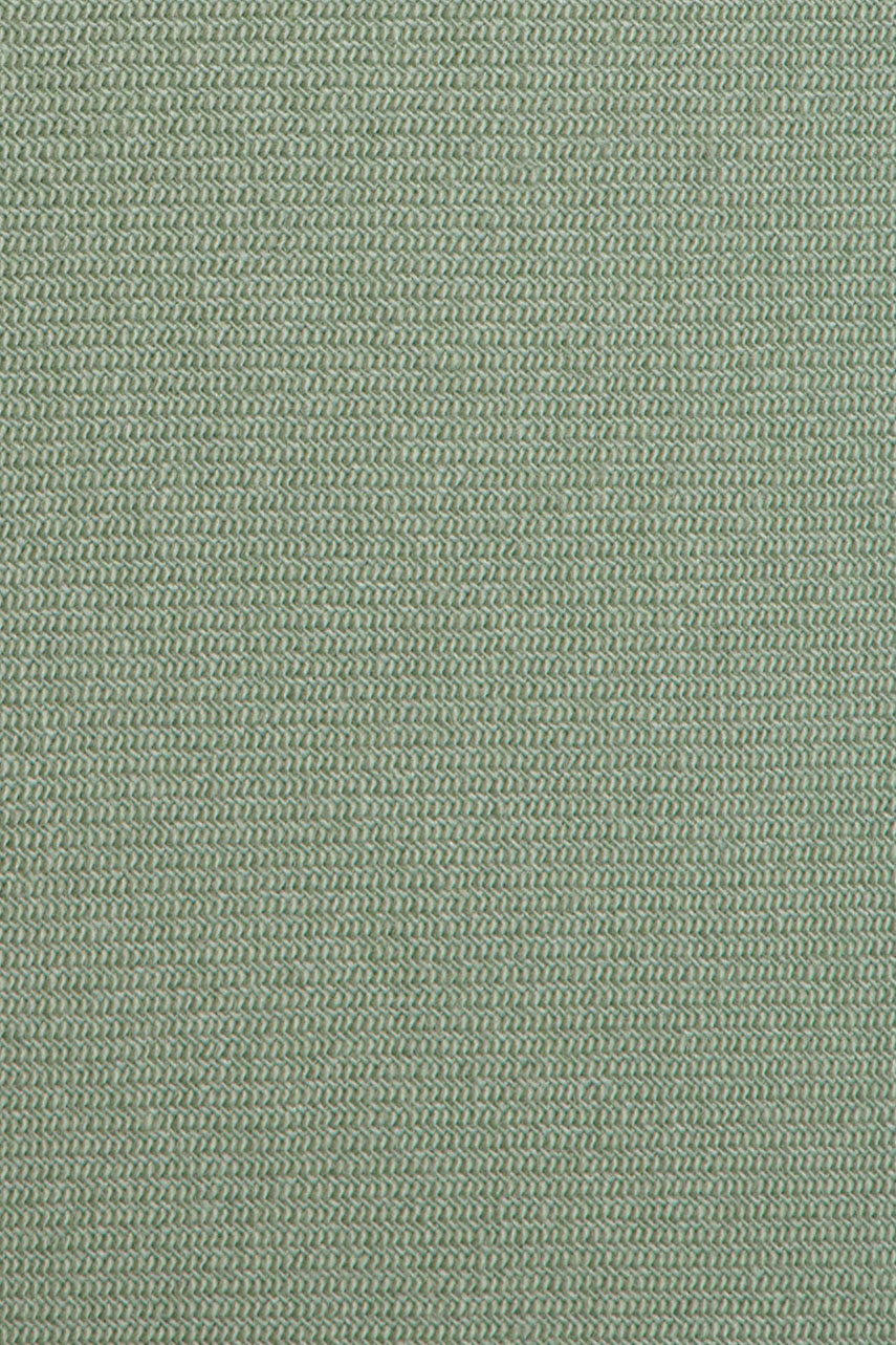 26084527_(T)