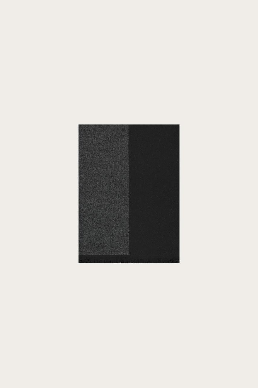 21077092_(P)
