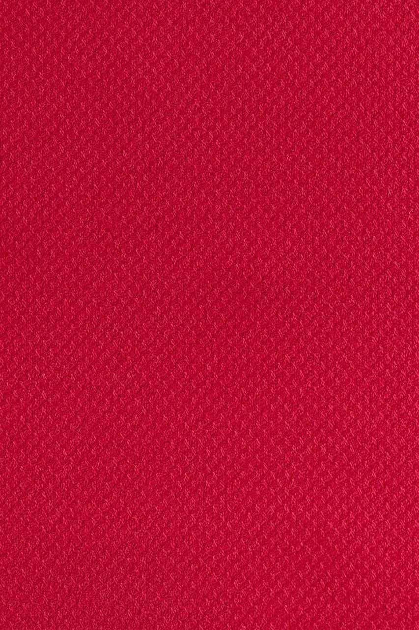 23984598557_(T)