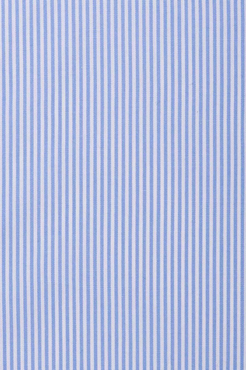 20392913_(T)