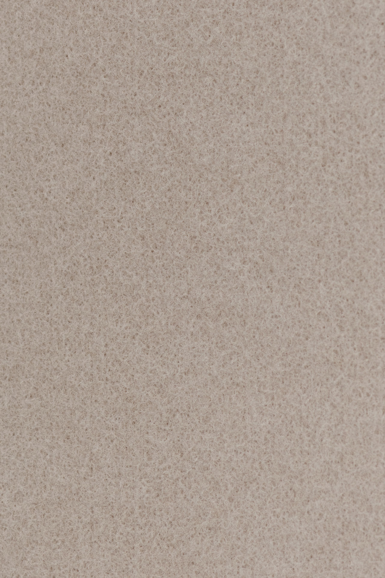 23984737557_(T)