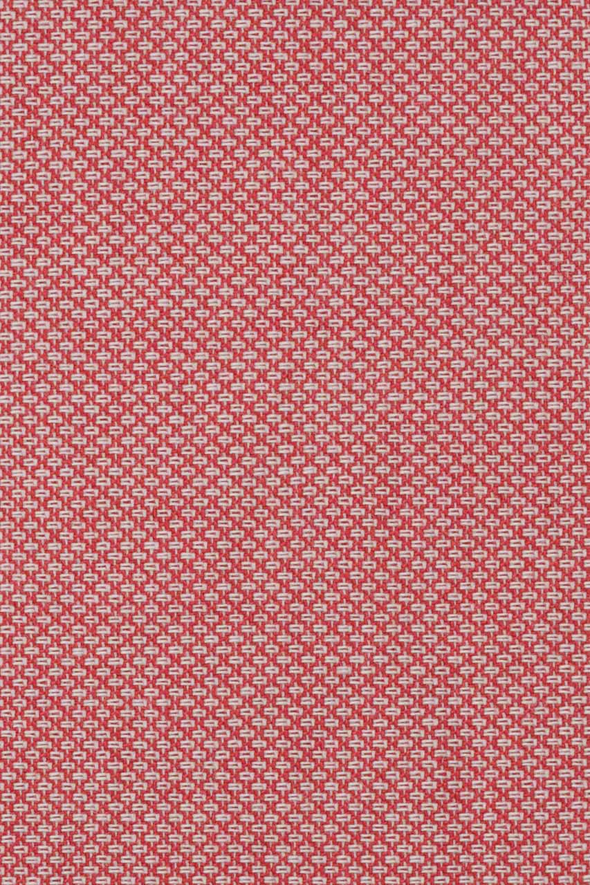21645119700_(T)
