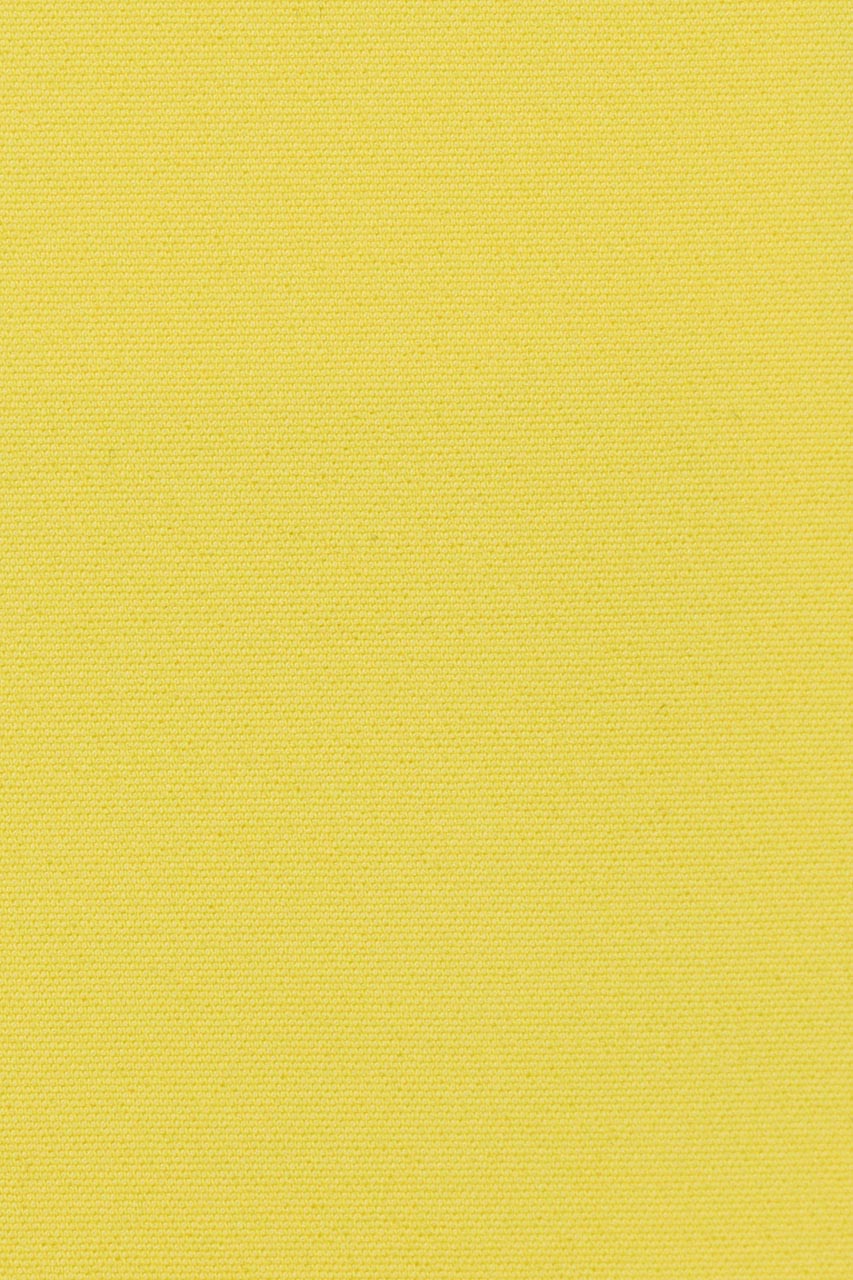 23984617557_(T)