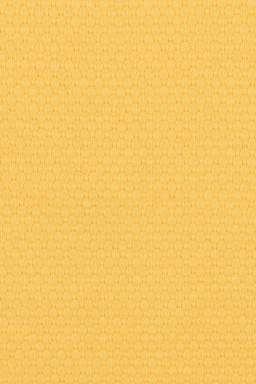 20872888812_(T)